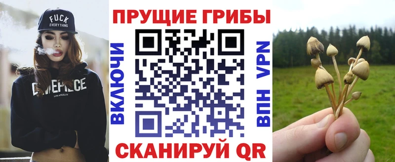 Псилоцибиновые грибы Magic Shrooms  мега ссылка  Малмыж  хочу  